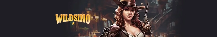 Jouer sur Wildsino Casino